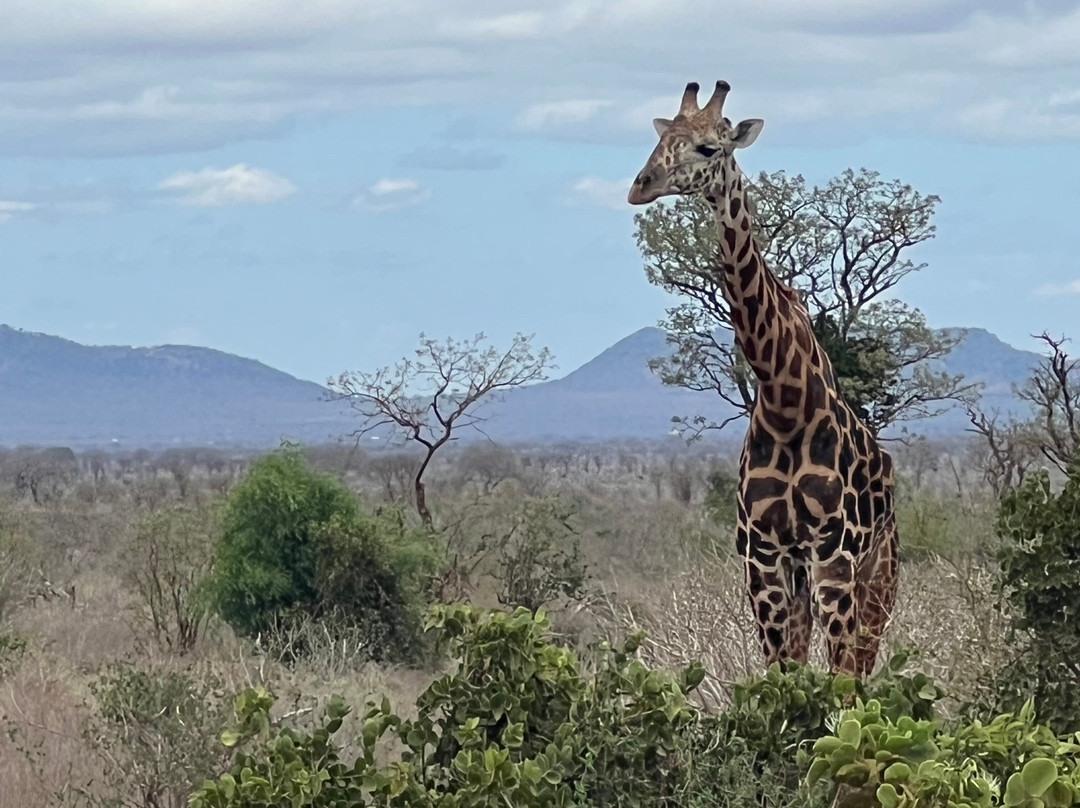 Around Holiday Adventure-查佛必去景点
