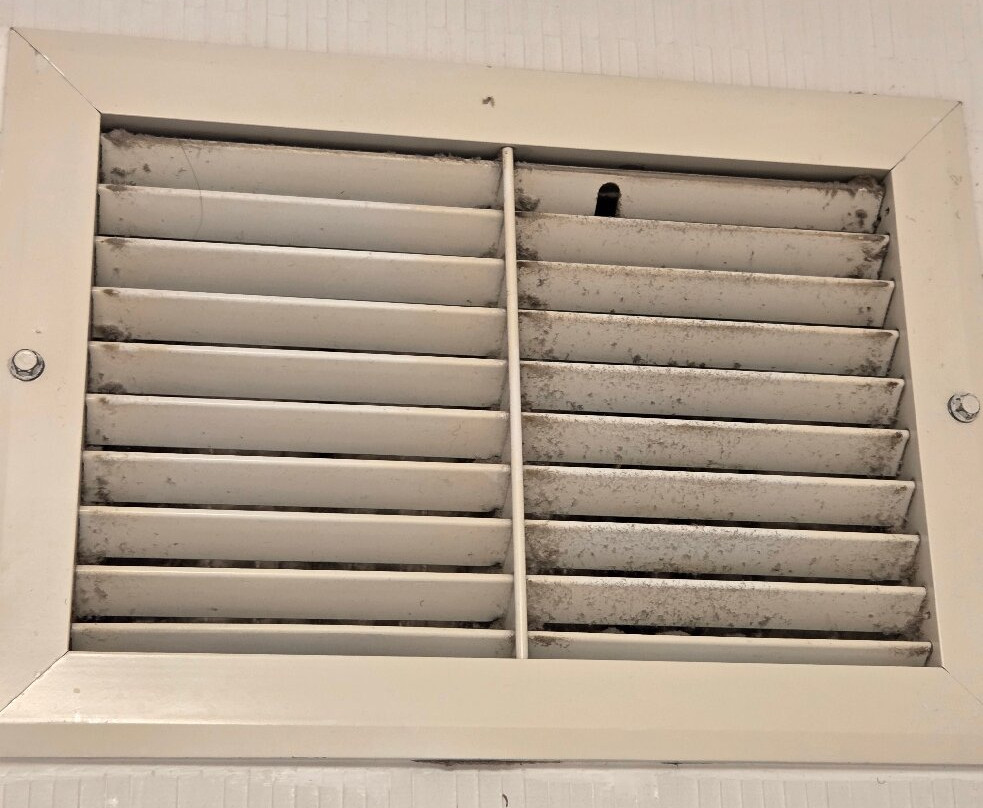 威廉姆斯波特希尔顿恒庭酒店主图