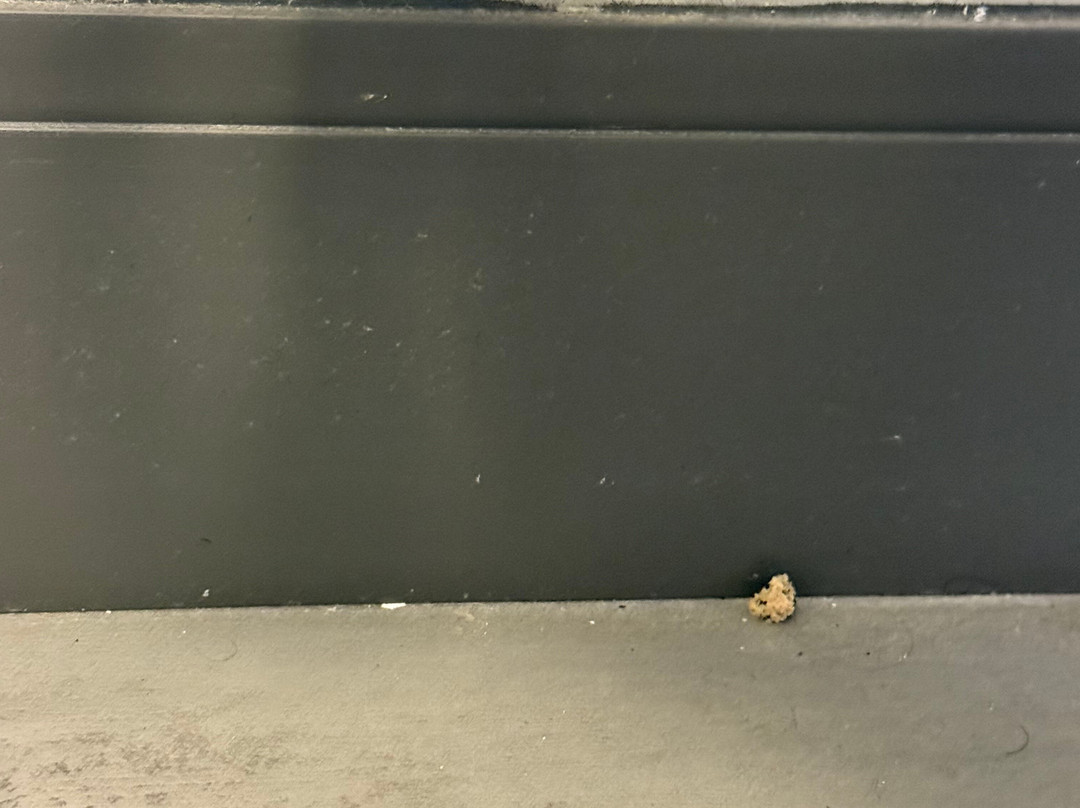 Hampton Inn Stroudsburg/poconos主图