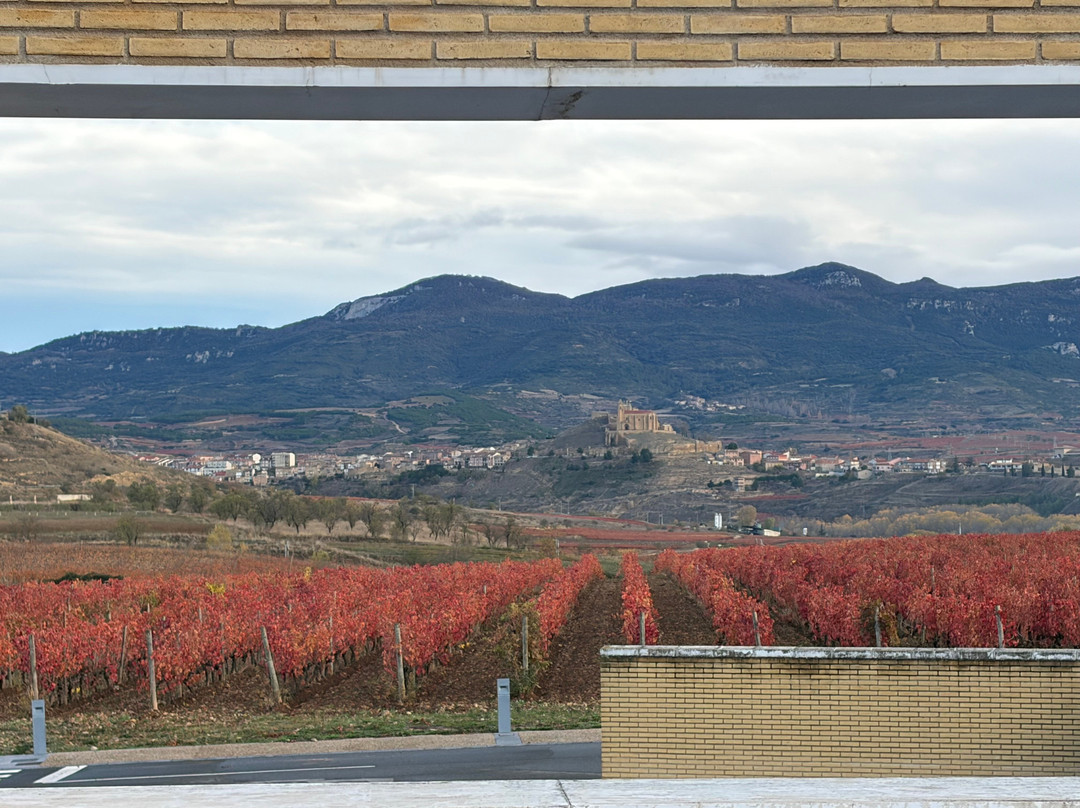 Vivanco-Briones必去景点