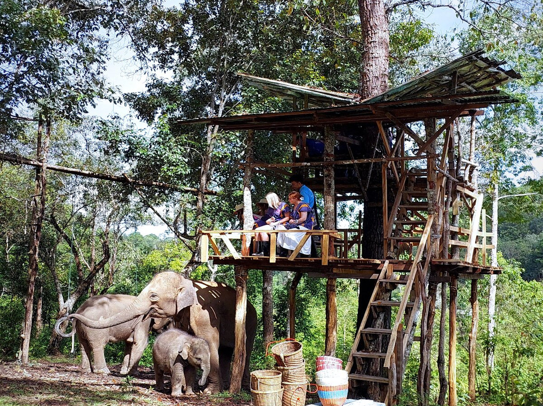 Blue Daily Elephant Care Sanctuary-清迈必去景点