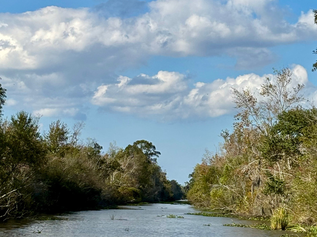 Ragin Cajun Airboat Tours-新奥尔良必去景点