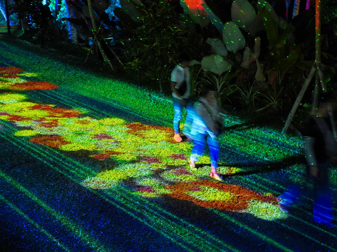 Hikaria: Bali's First Immersive Night Walk-Tegallalang必去景点