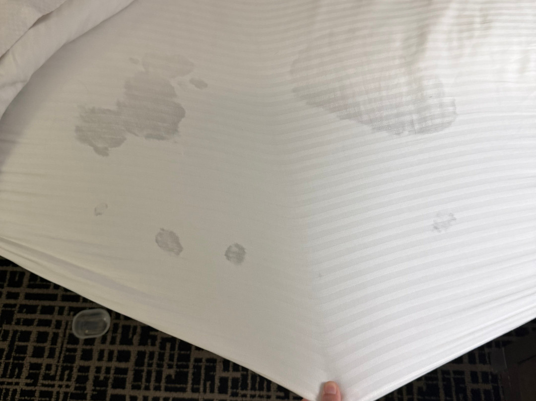 La Quinta Inn & Suites by Wyndham Terre Haute主图