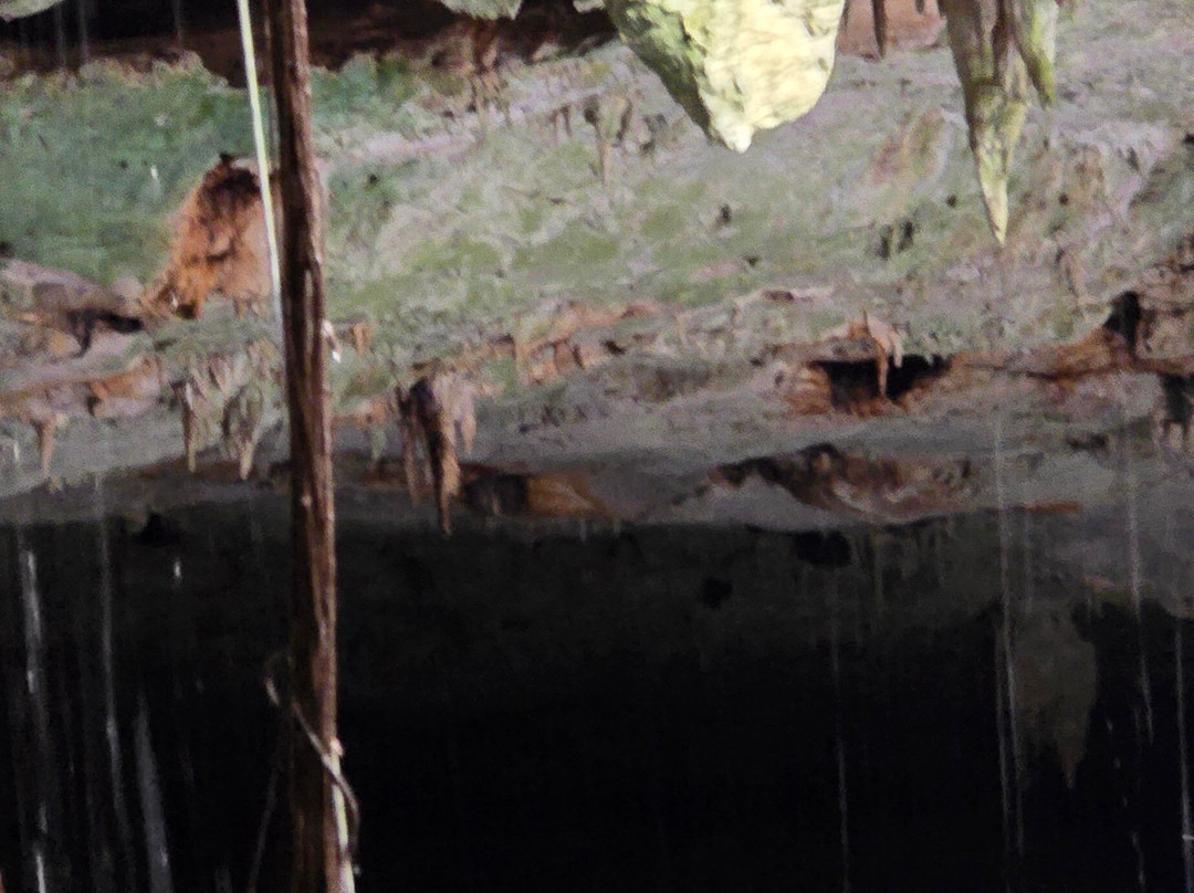 Cenote La Casa De Los Pájaros-Tizimin必去景点