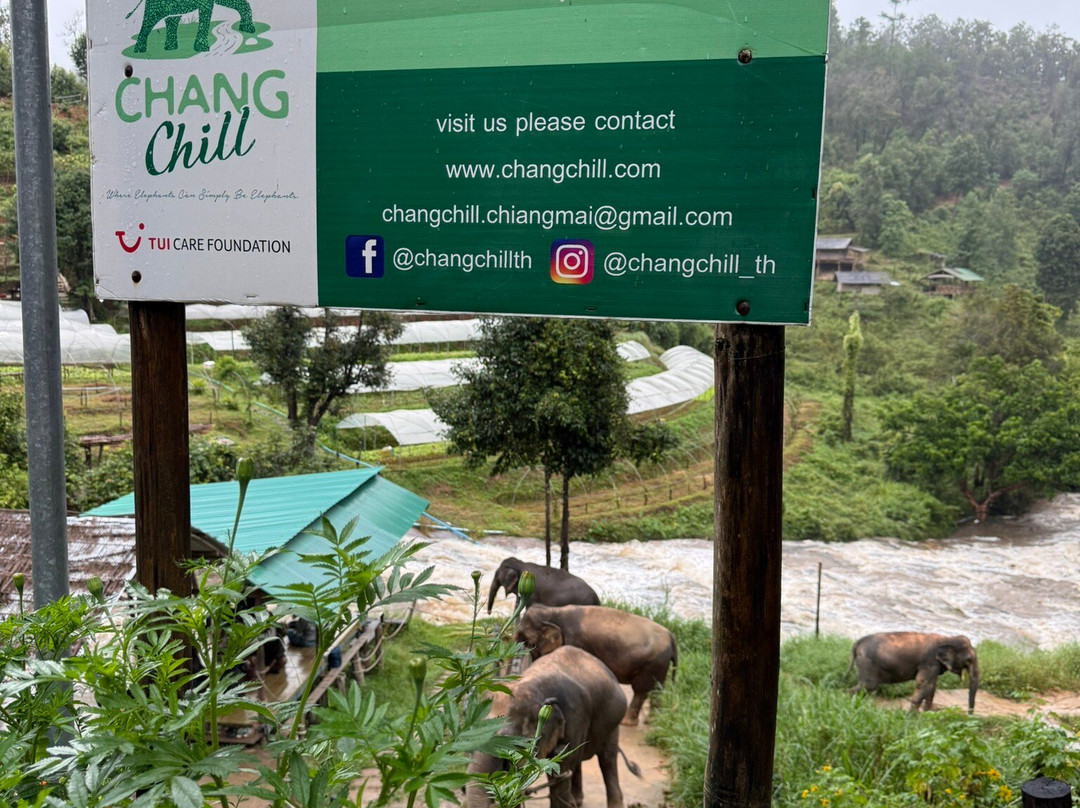 Chang Chill-Mae Win必去景点