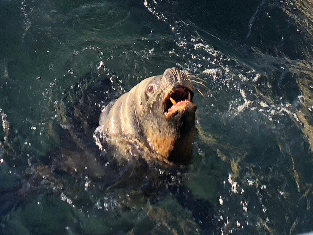 Zoo am Meer-不来梅港必去景点