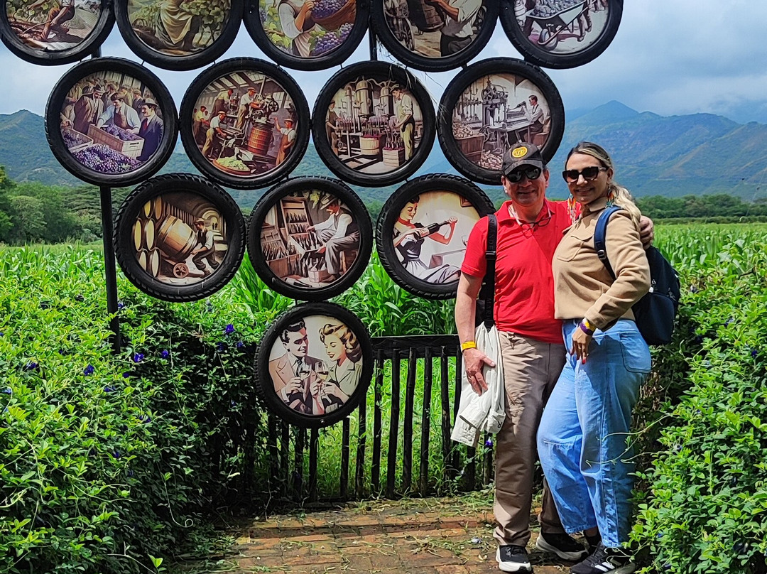 Hotel Los Vinedos主图