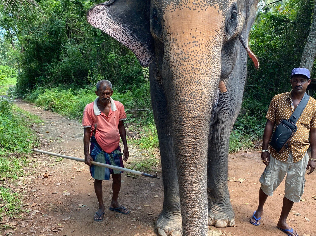 Charli Tours-亚洪加拉必去景点
