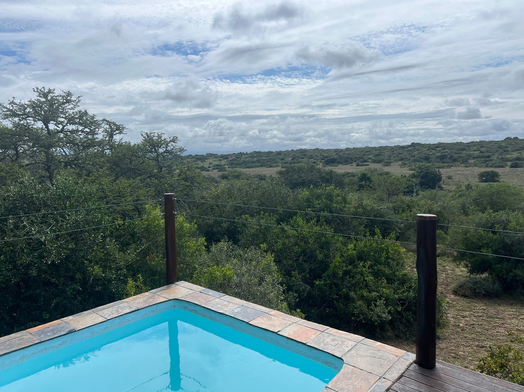 Bush Lodge Amakhala主图