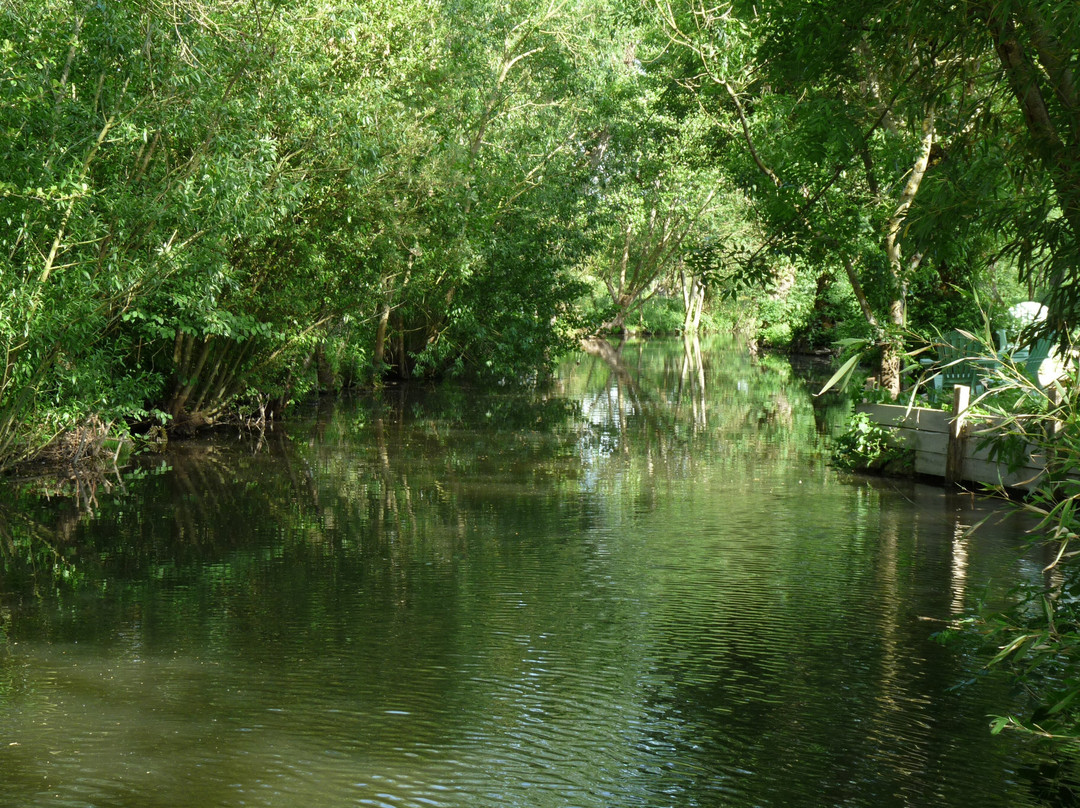 L'Oiseau du Marais主图