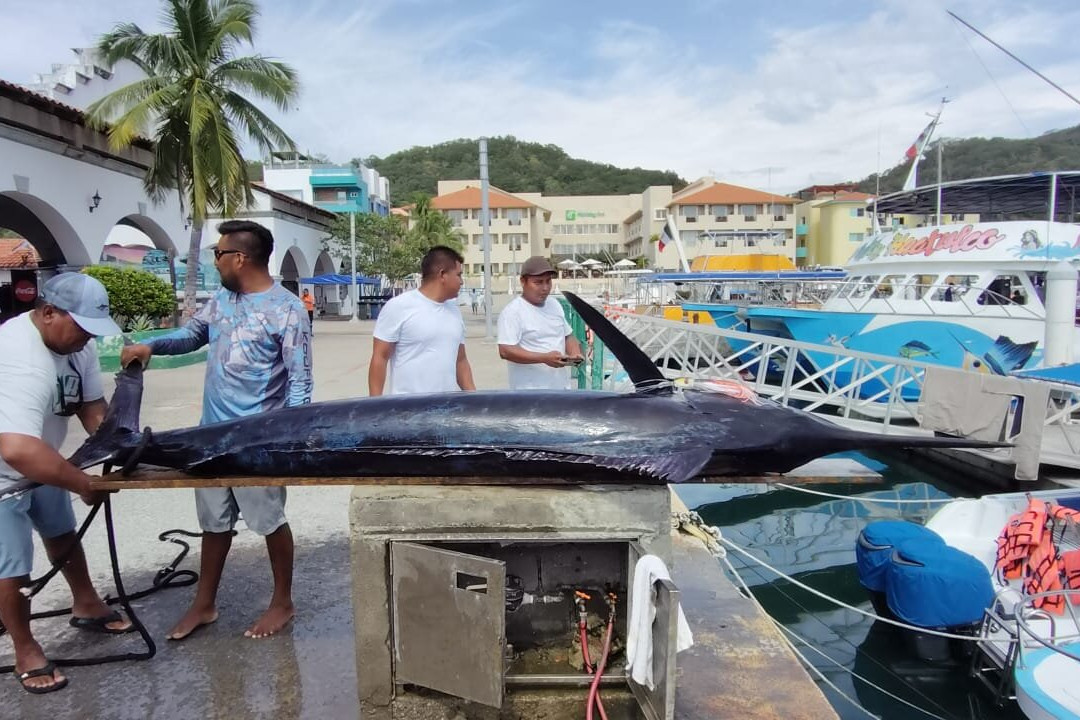 Best Huatulco Tours-瓦图尔科必去景点