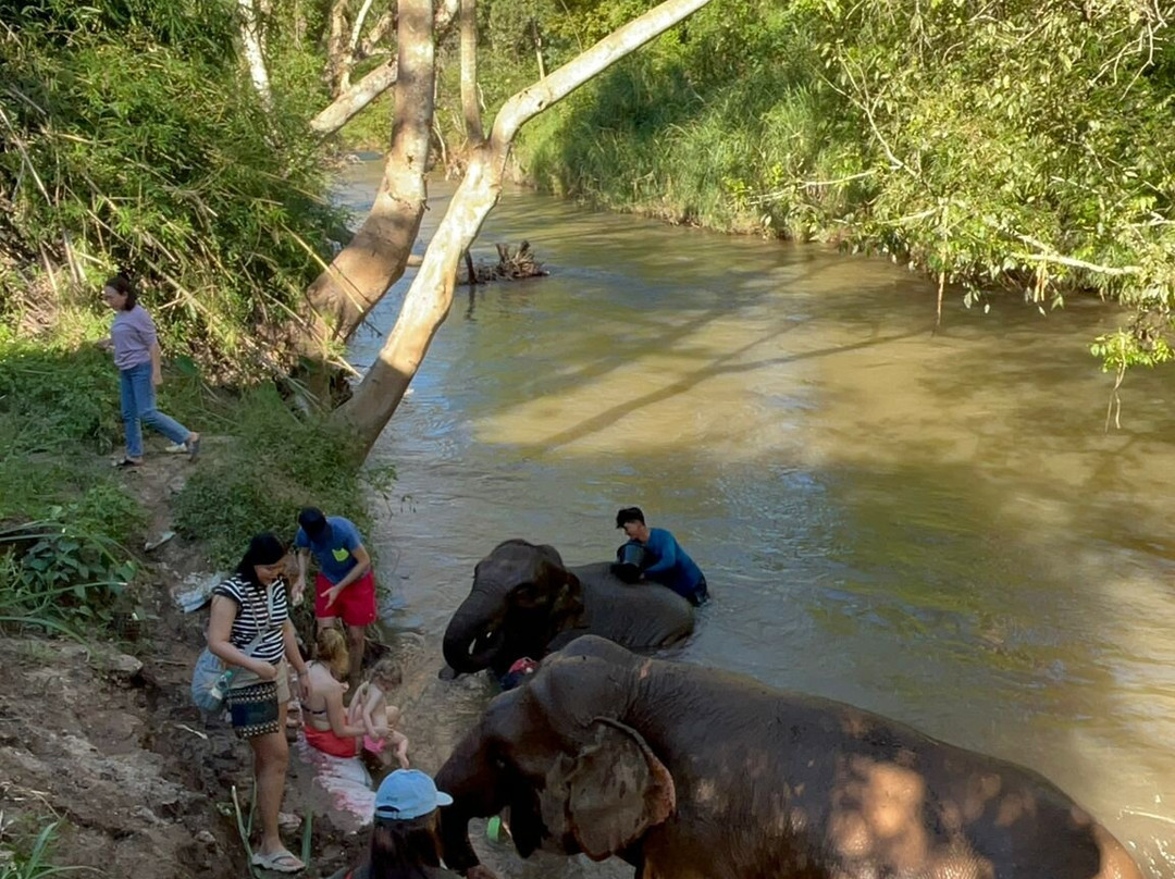 Elephant Sanctuary Care Park-清迈必去景点