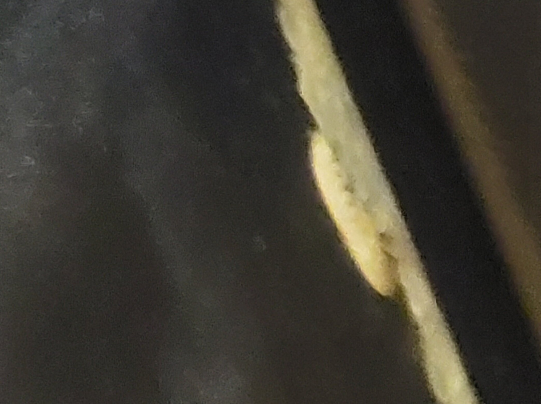 Vivarium-波斯托伊纳必去景点