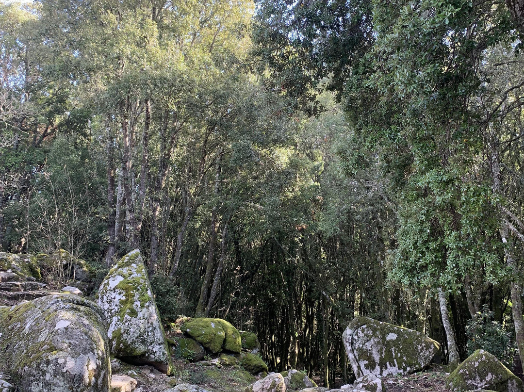 Site archéologique de Cucuruzzu-Levie必去景点