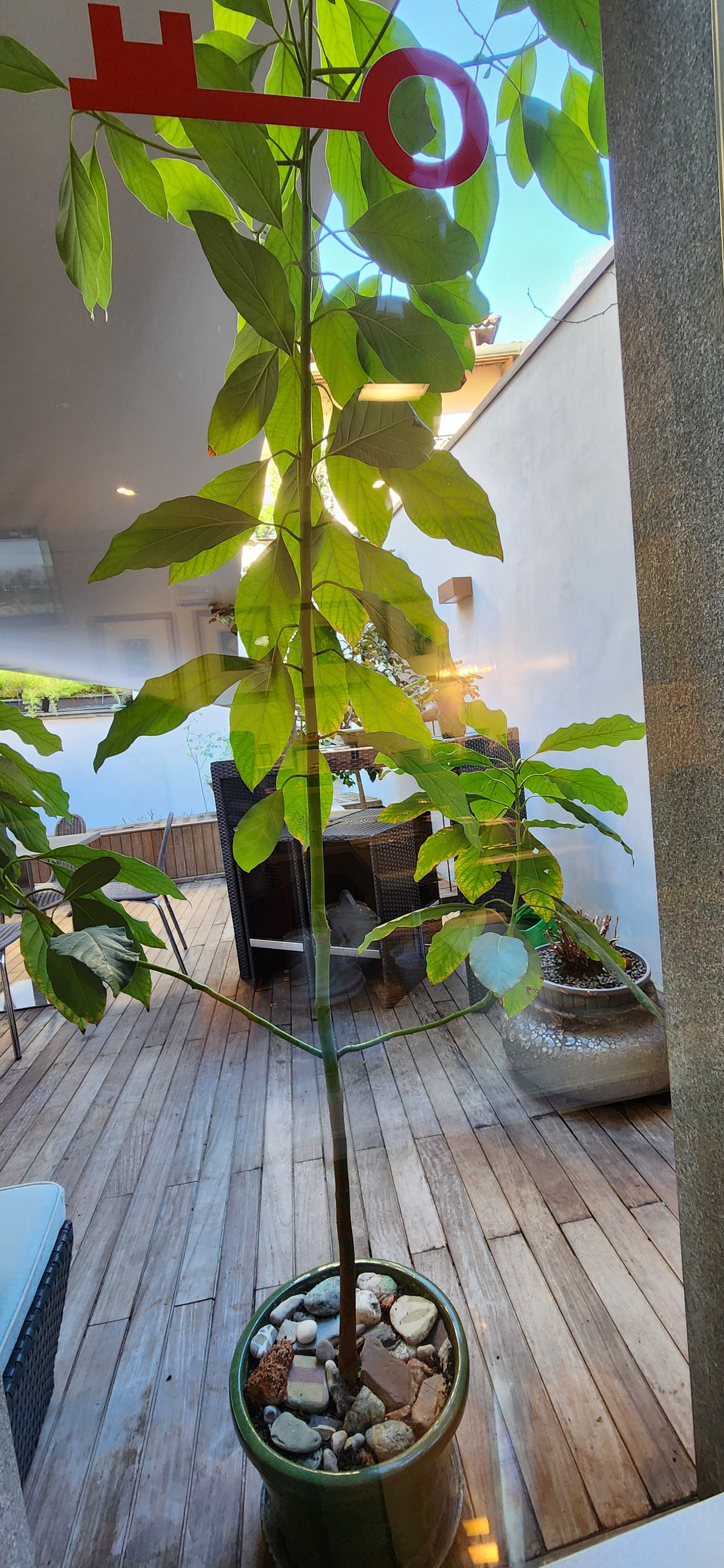 艾尔伯格奥维奇欧特兰酒店-官方