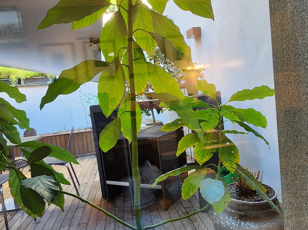 艾尔伯格奥维奇欧特兰酒店主图