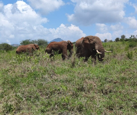 Viaggio Del Cuore-瓦塔木必去景点