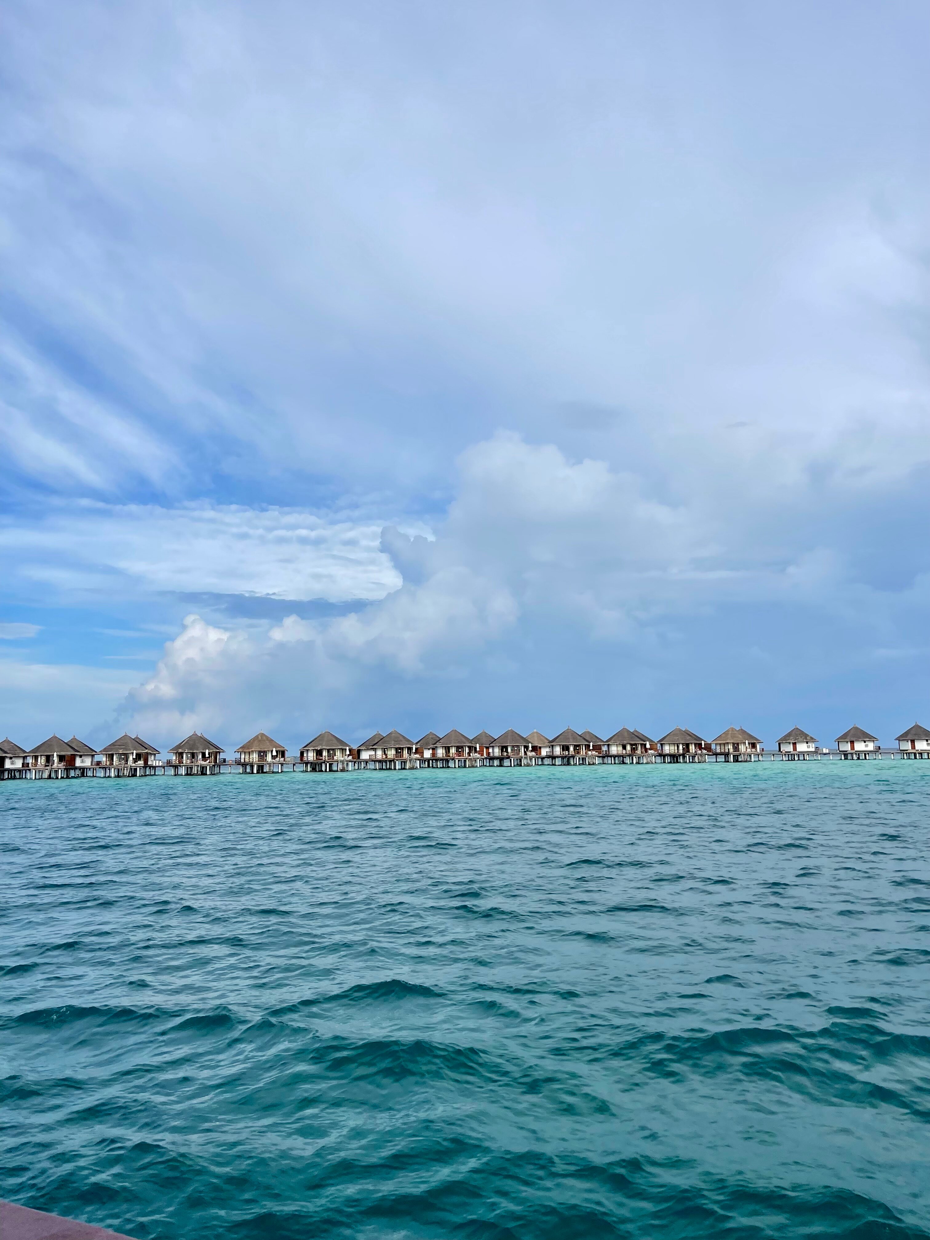 野生动物园岛度假村-官方