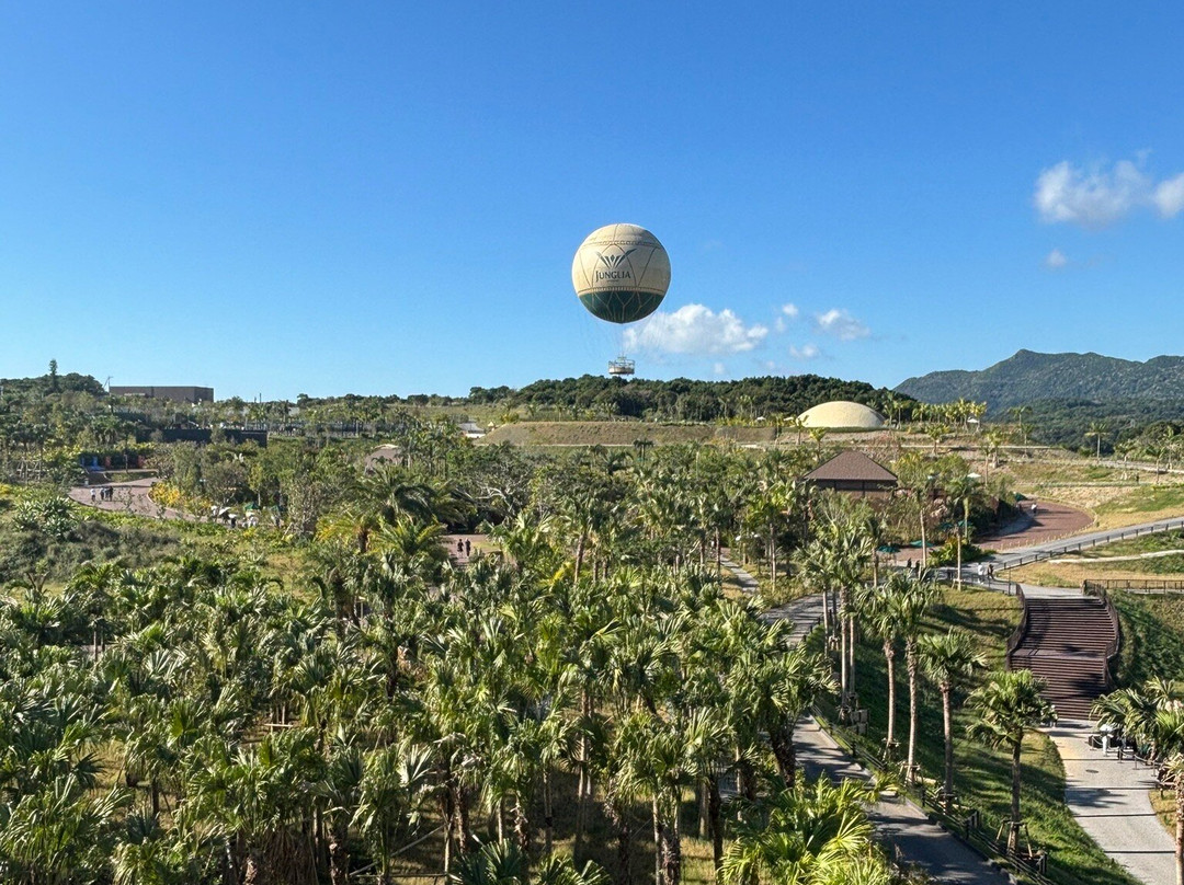Junglia Okinawa-今归仁村必去景点