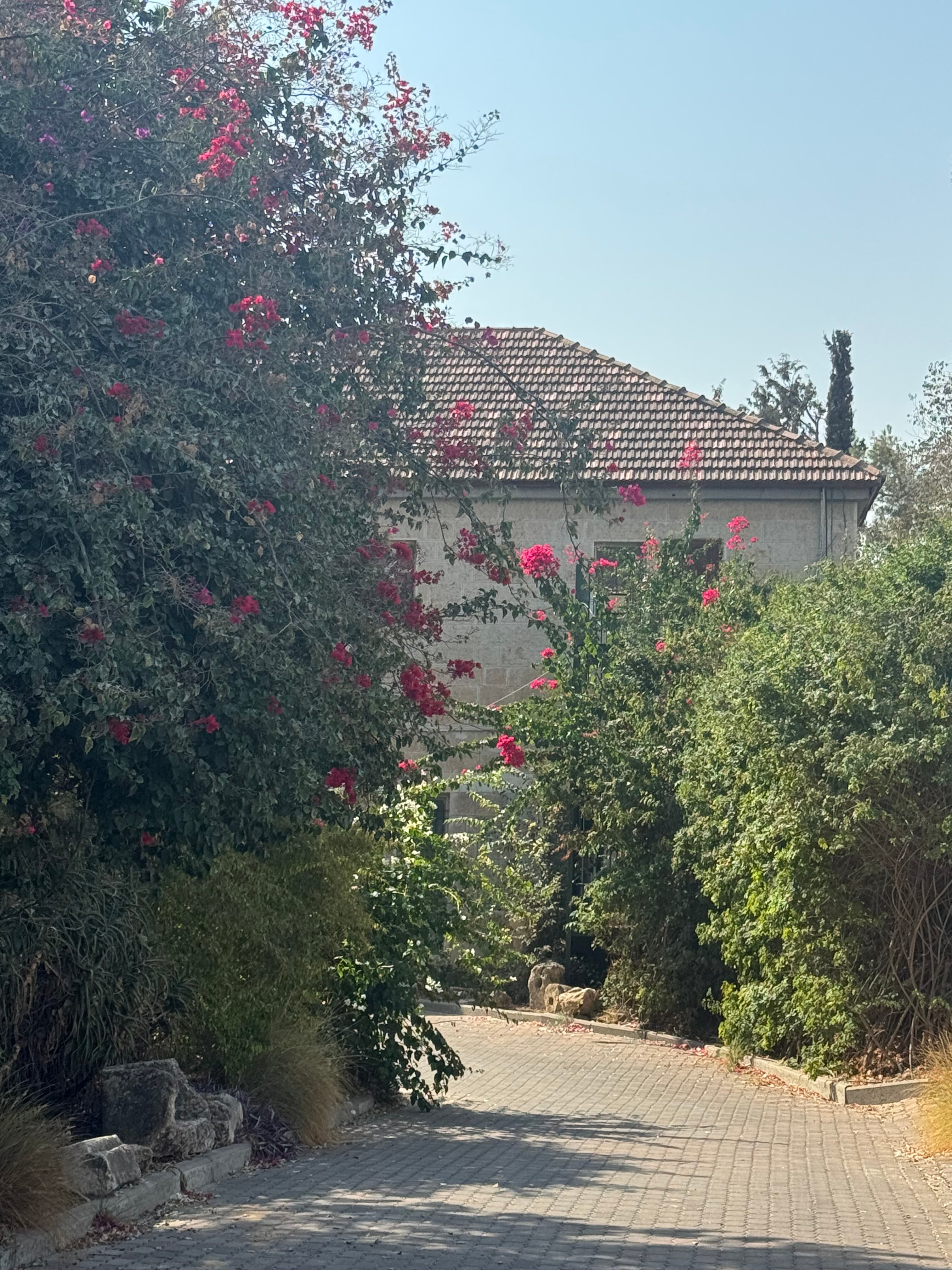 Bella Troun Guest House-官方