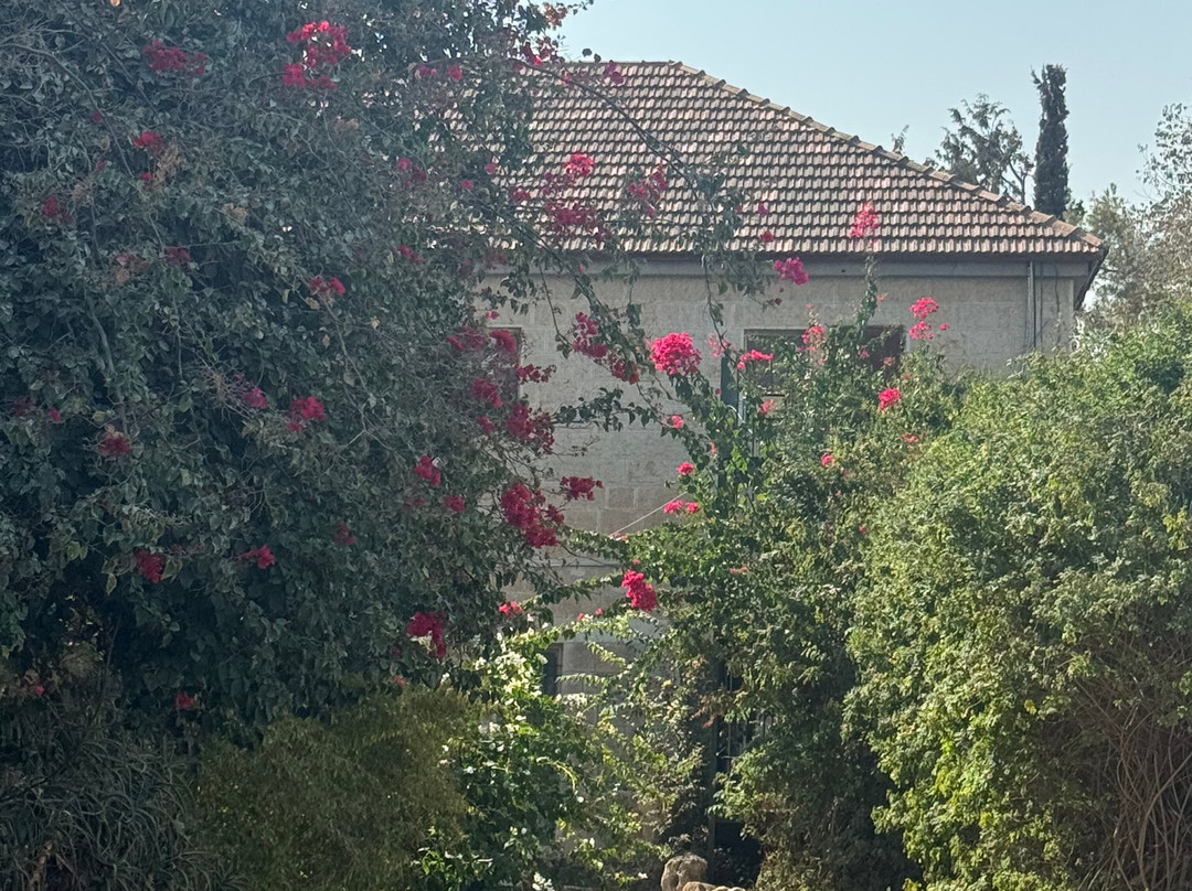 Bella Troun Guest House主图