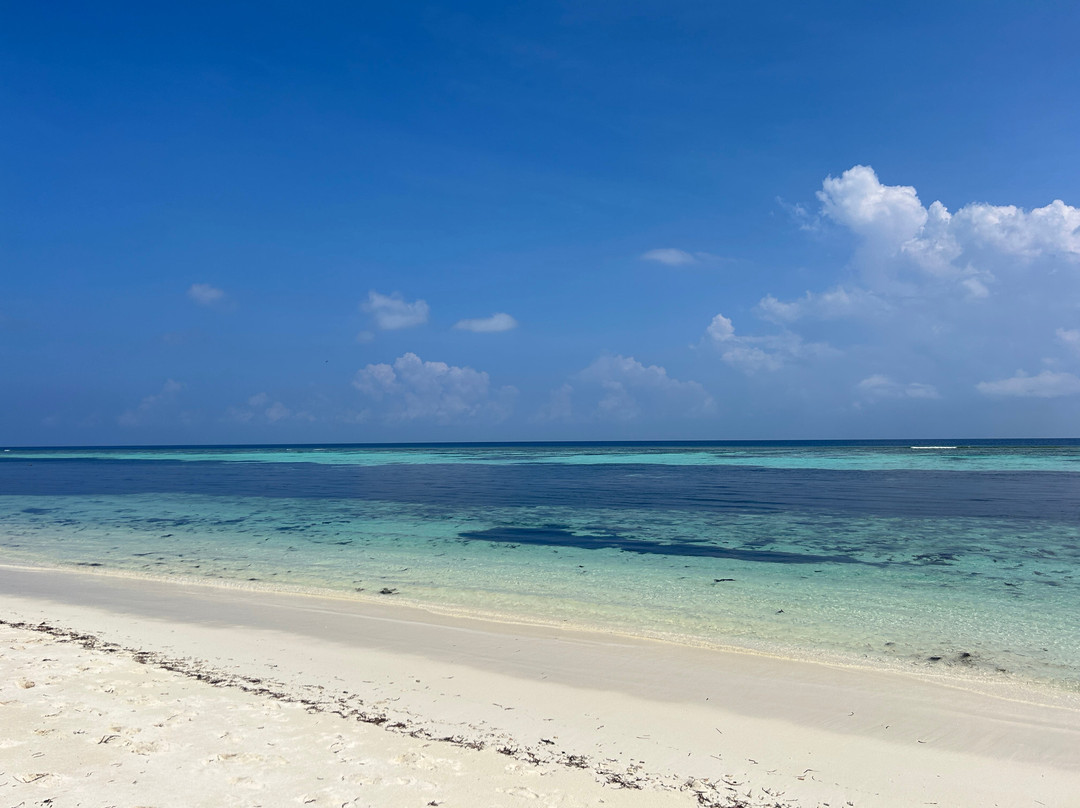 Ari Grand Hotel主图