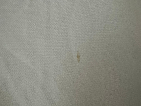 Best Western Brady Inn主图