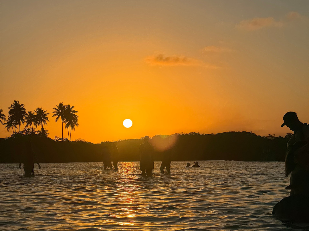 Up Translado-嘎林海斯港必去景点
