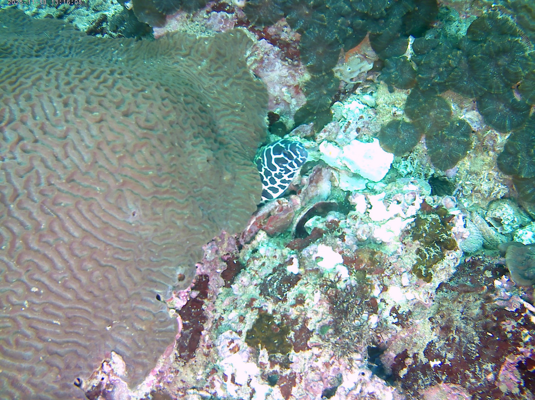 ABT Divers-塞拉莱必去景点