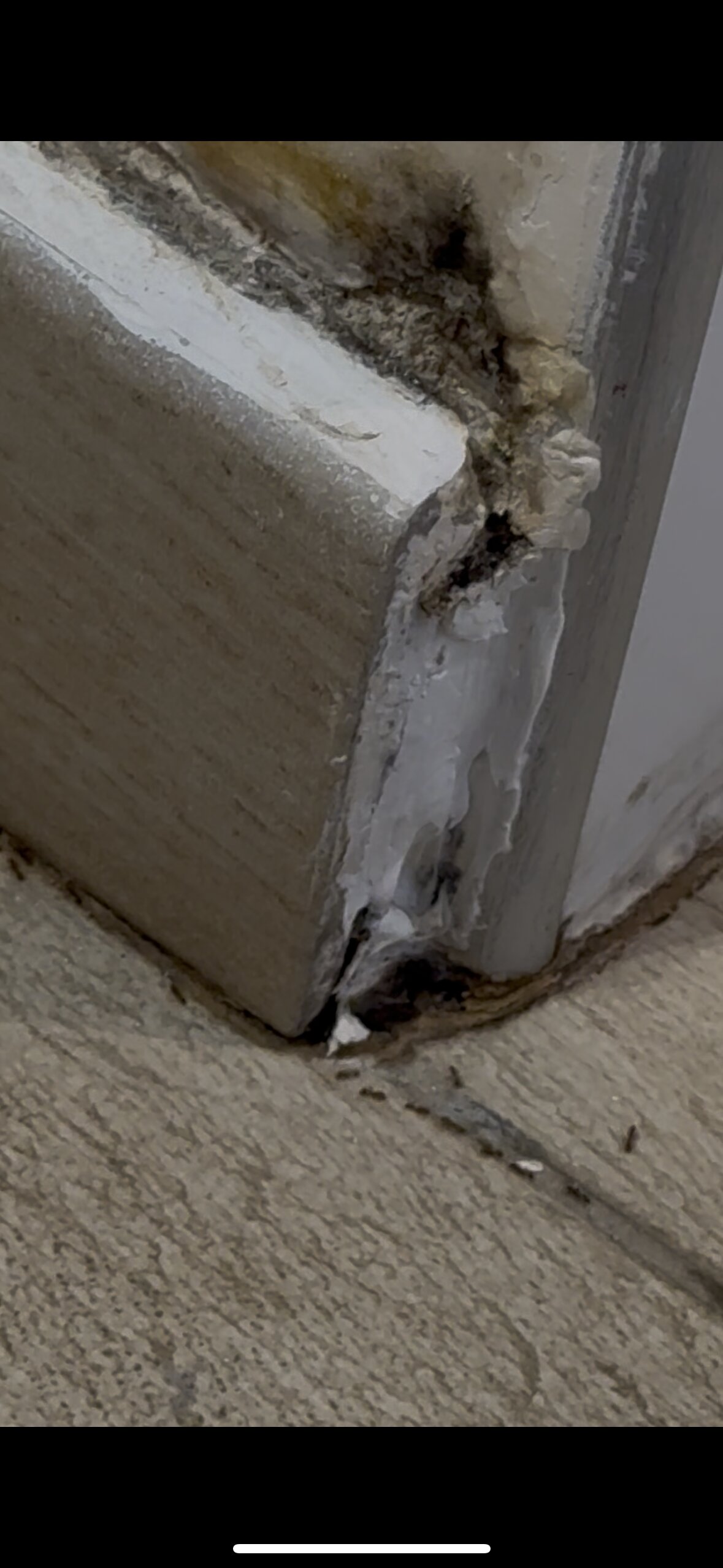 阿呼弥Spa酒店-官方