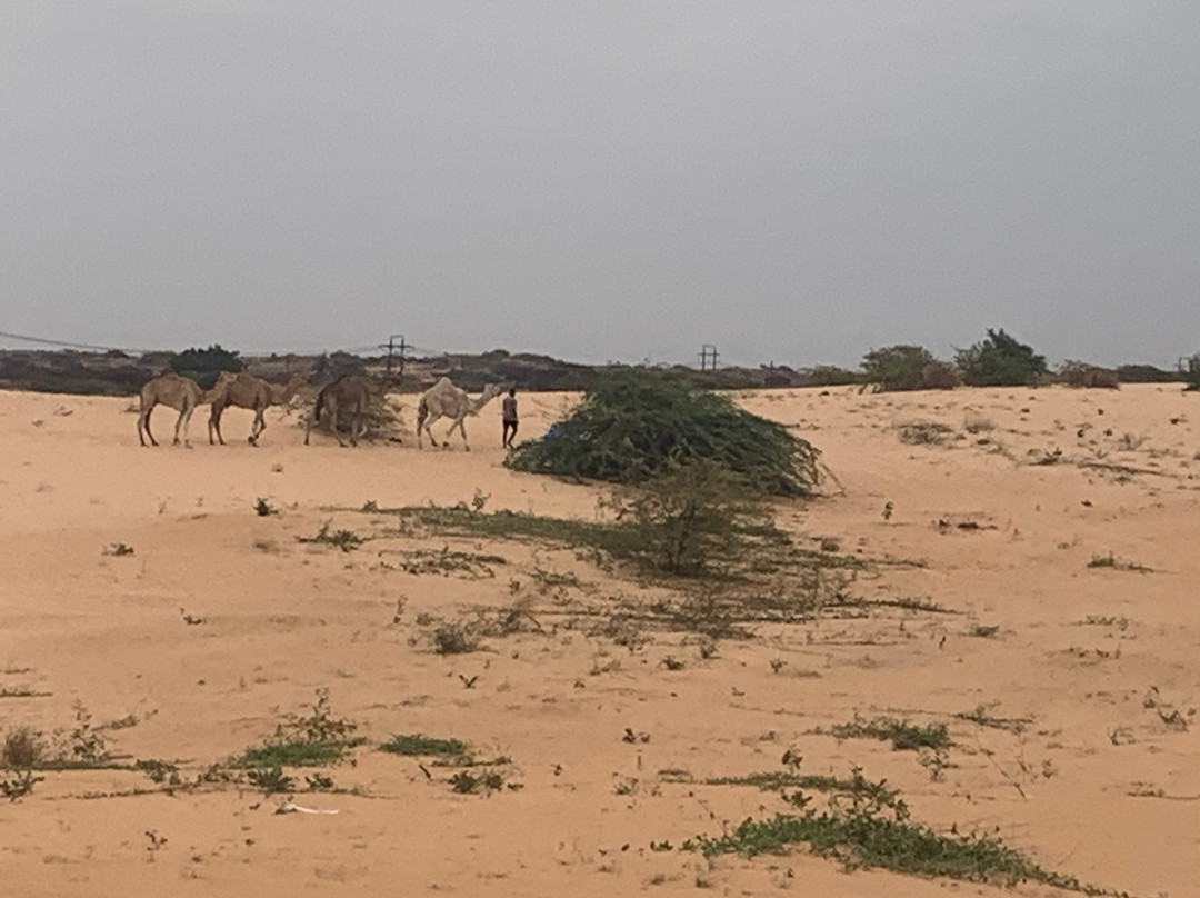 Lompoul Desert-达喀尔必去景点