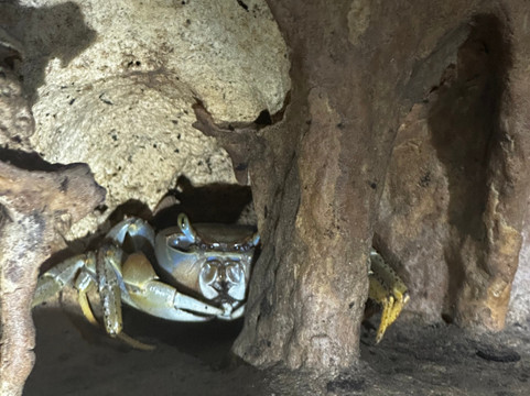 Mayikal Experiences-图伦必去景点