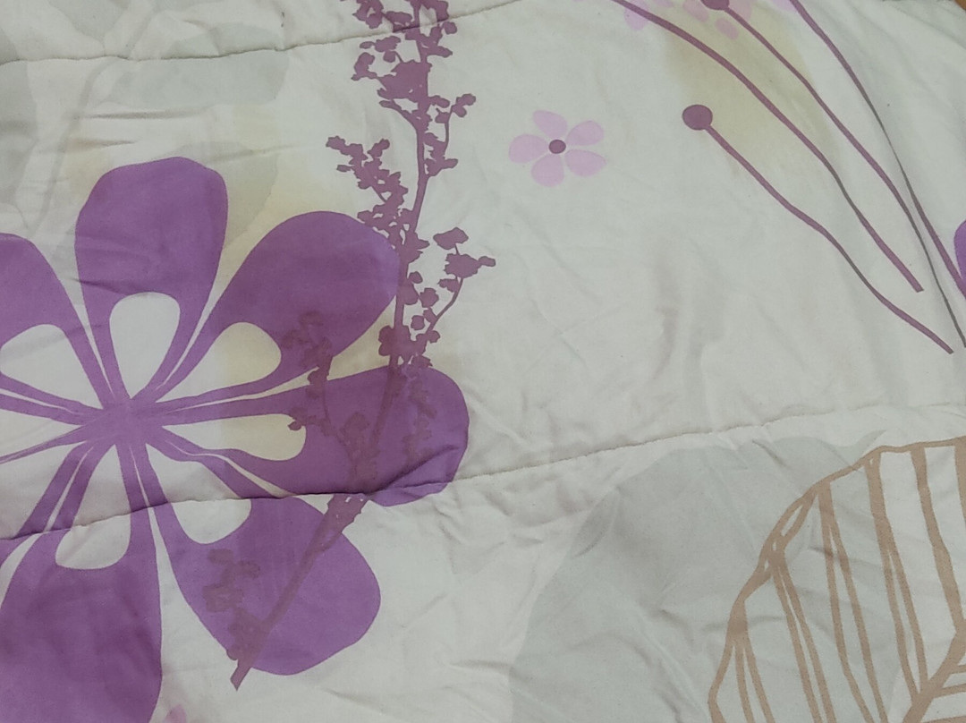 Hotel Numero Uno主图