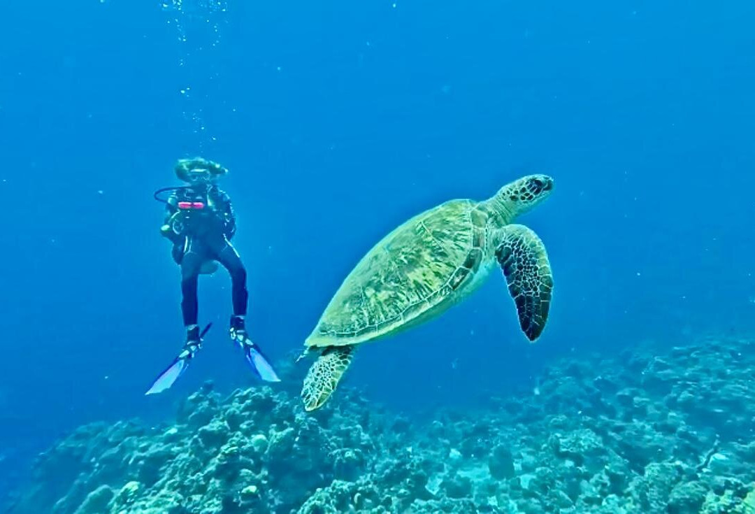 Porto Mari Sports-Sint Willibrordus必去景点