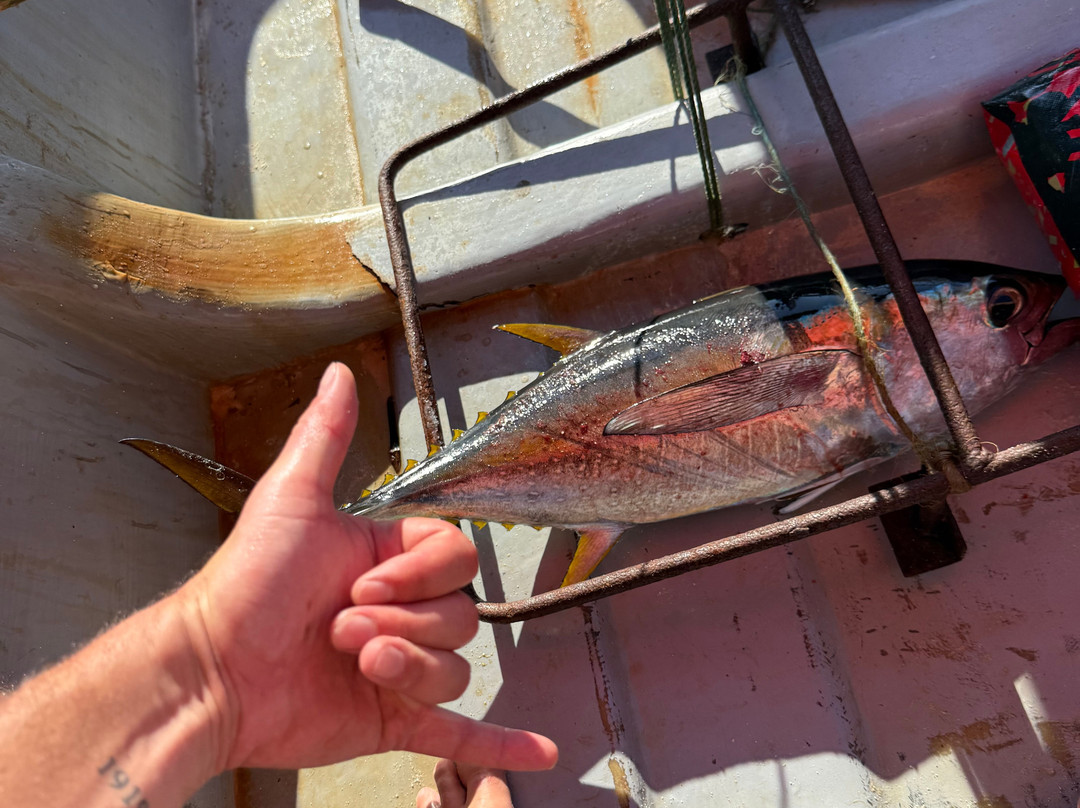 AG Tours and Safaris-桑给巴尔岛必去景点