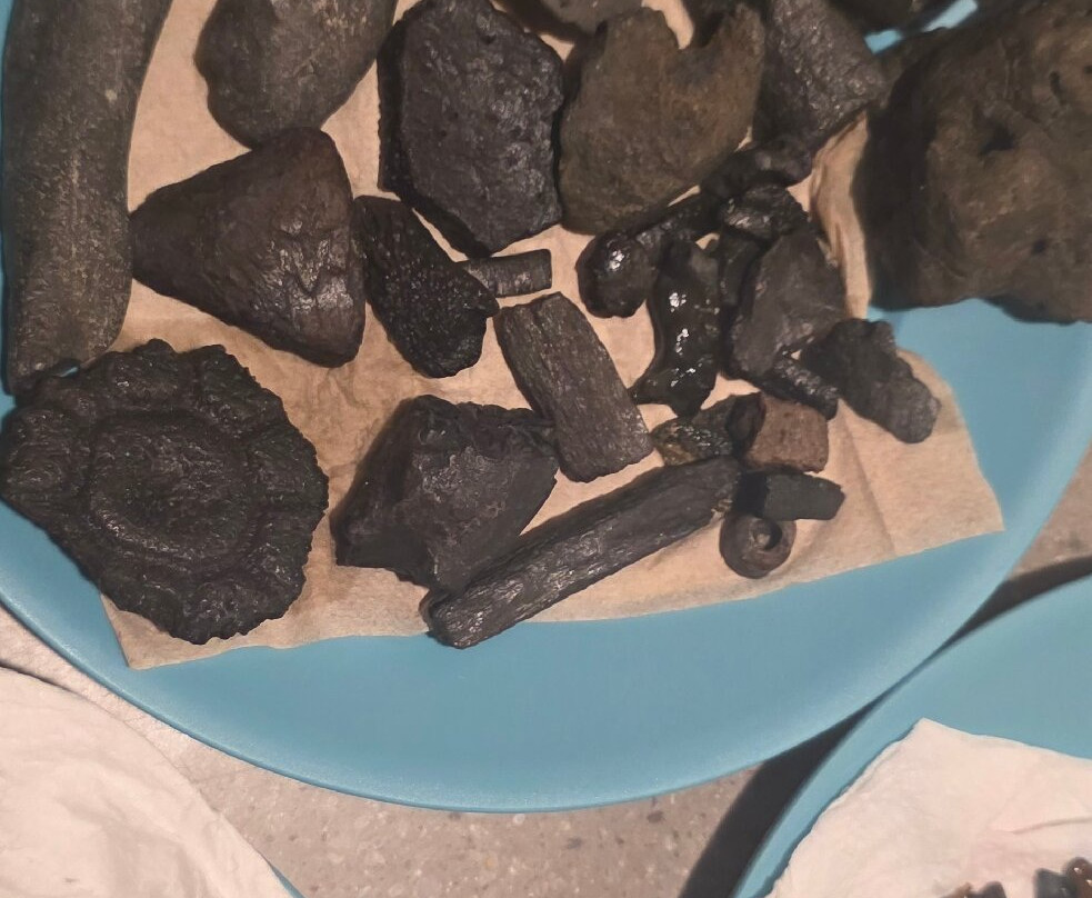 Fossil Expeditions-阿卡迪亚必去景点