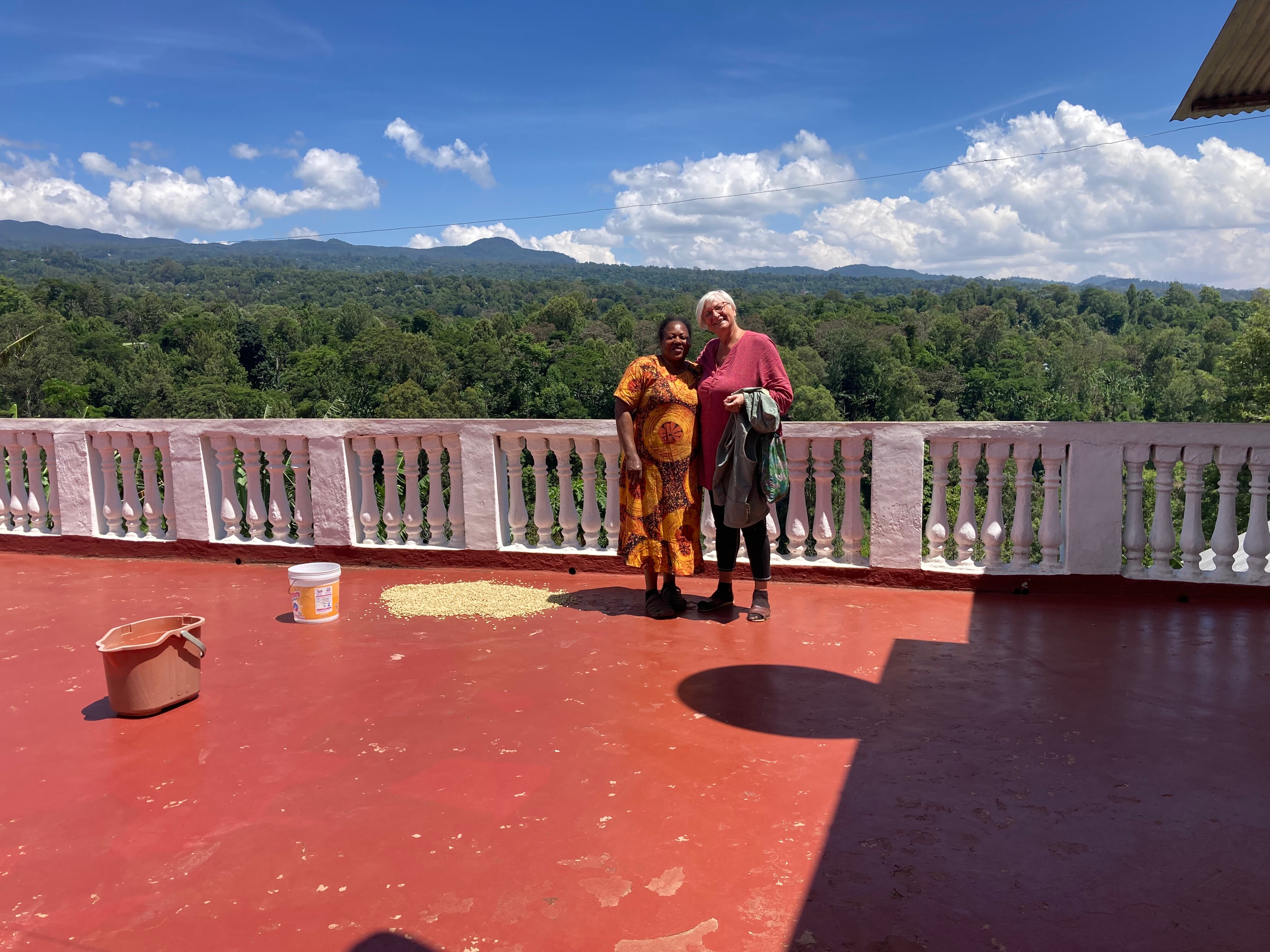 Kilema Paradise-官方