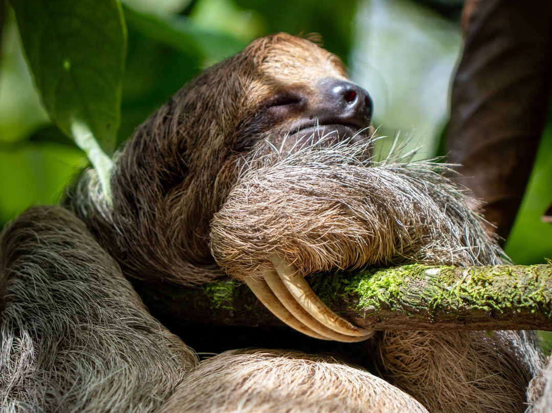 Maleku Chocolate-Upala必去景点