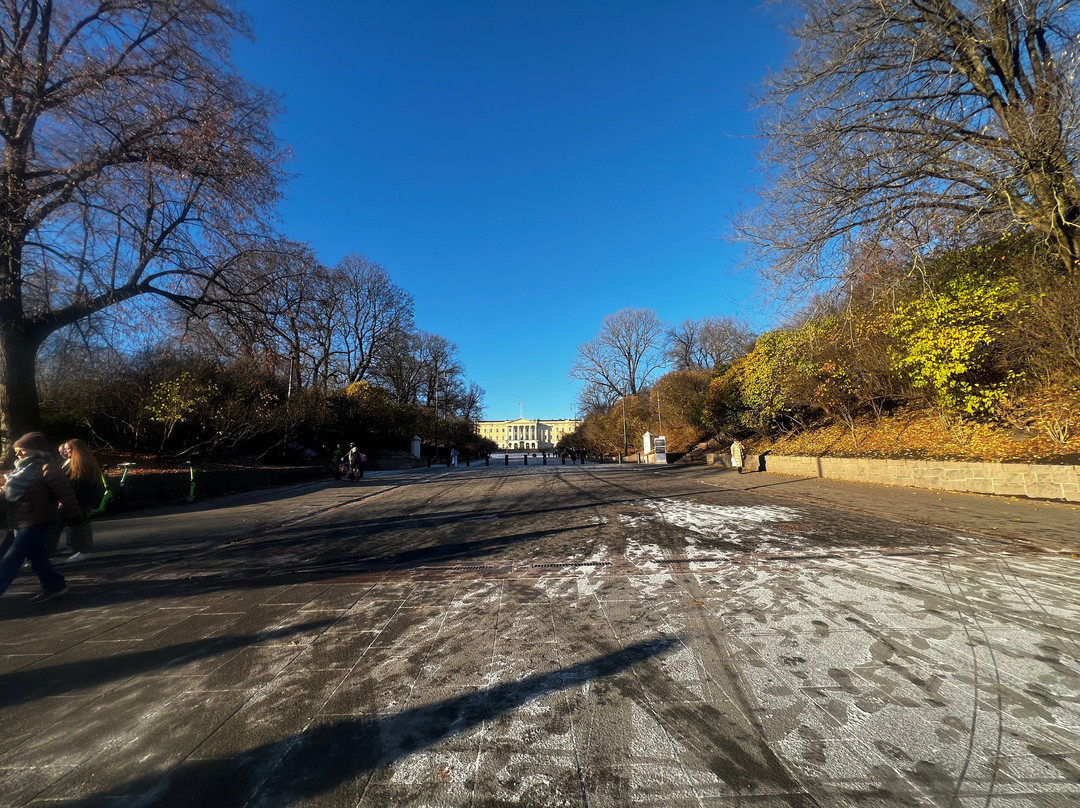 The Palace Park-奥斯陆必去景点