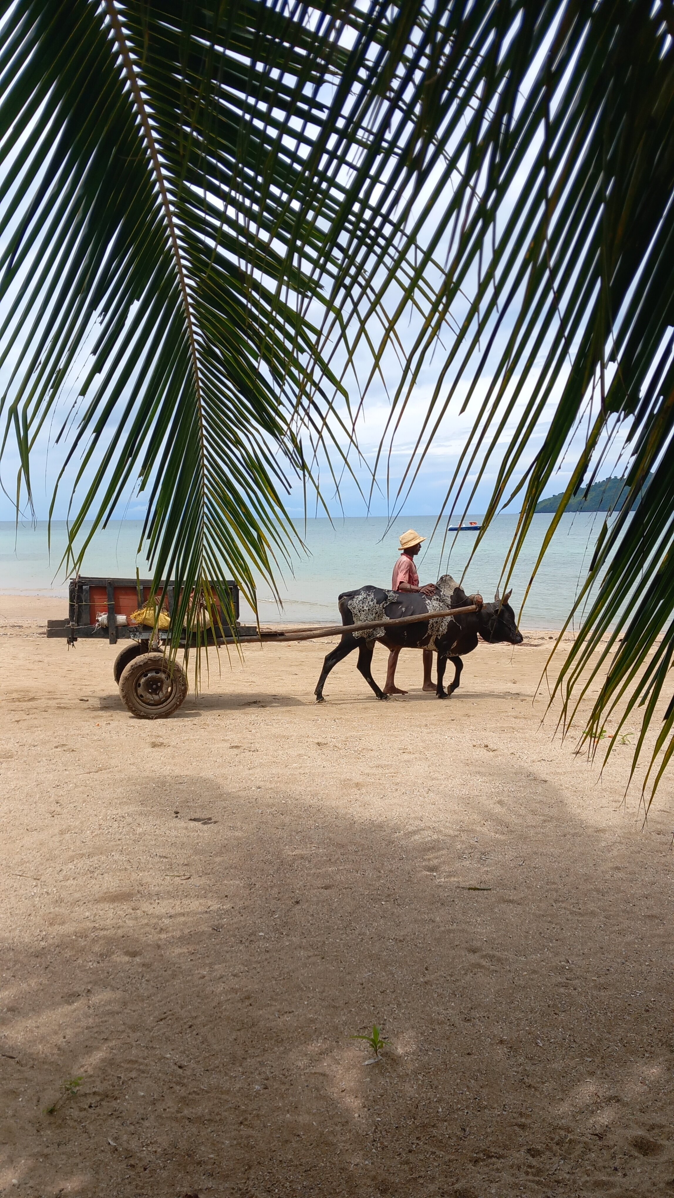 Sambatra Bed & Breakfast-酒店景观