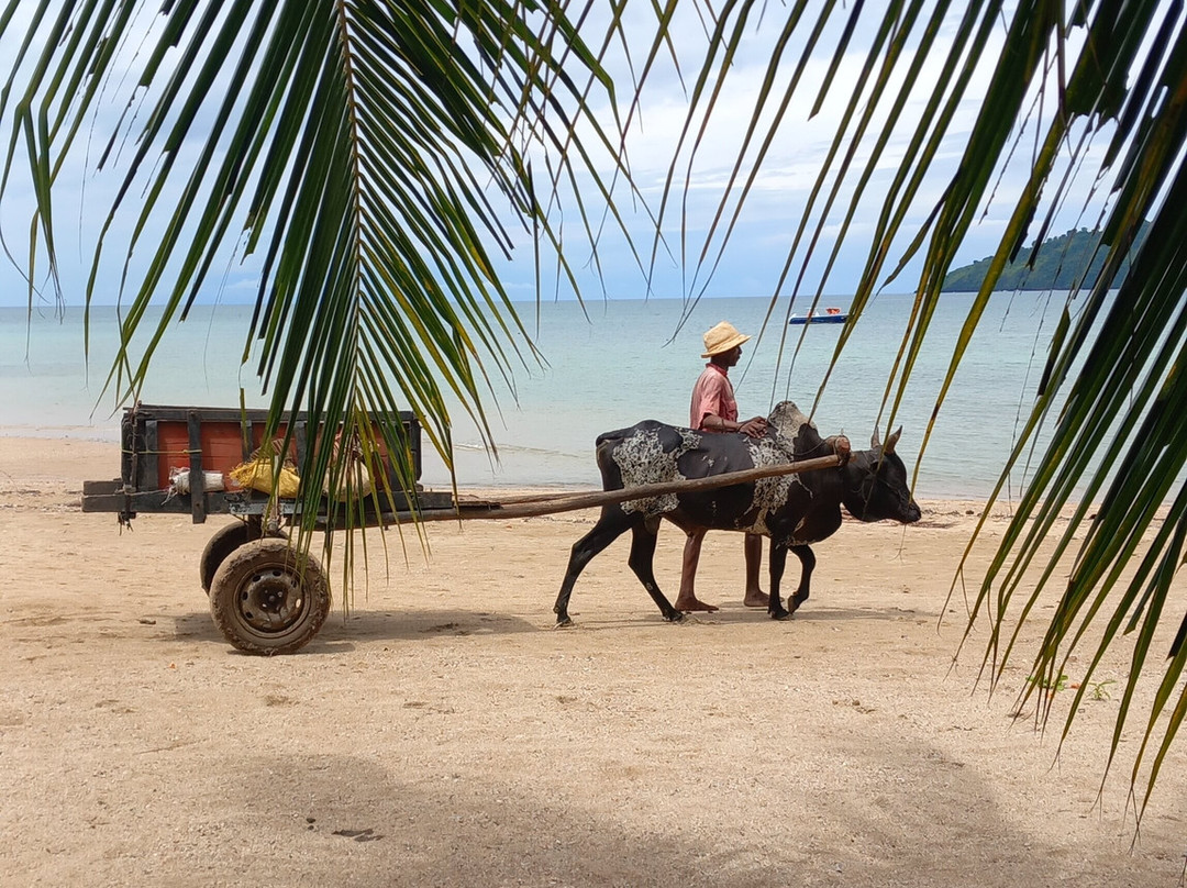 Sambatra Bed & Breakfast主图