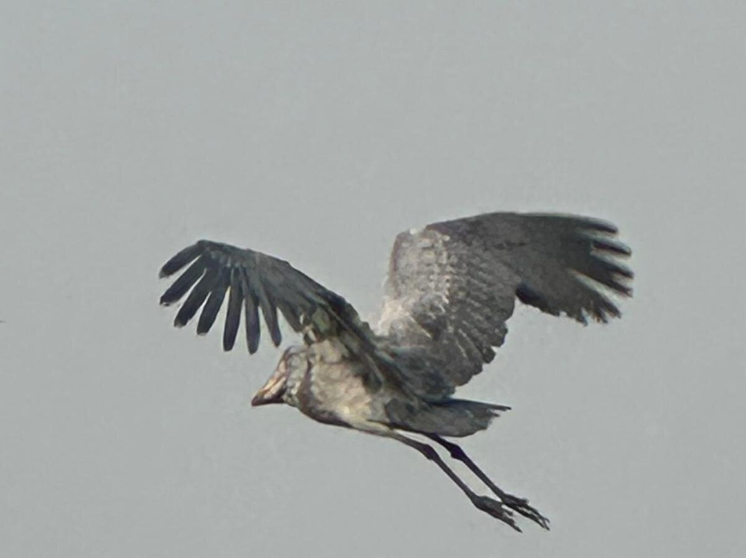 Grassrootz Adventures Uganda-坎帕拉必去景点