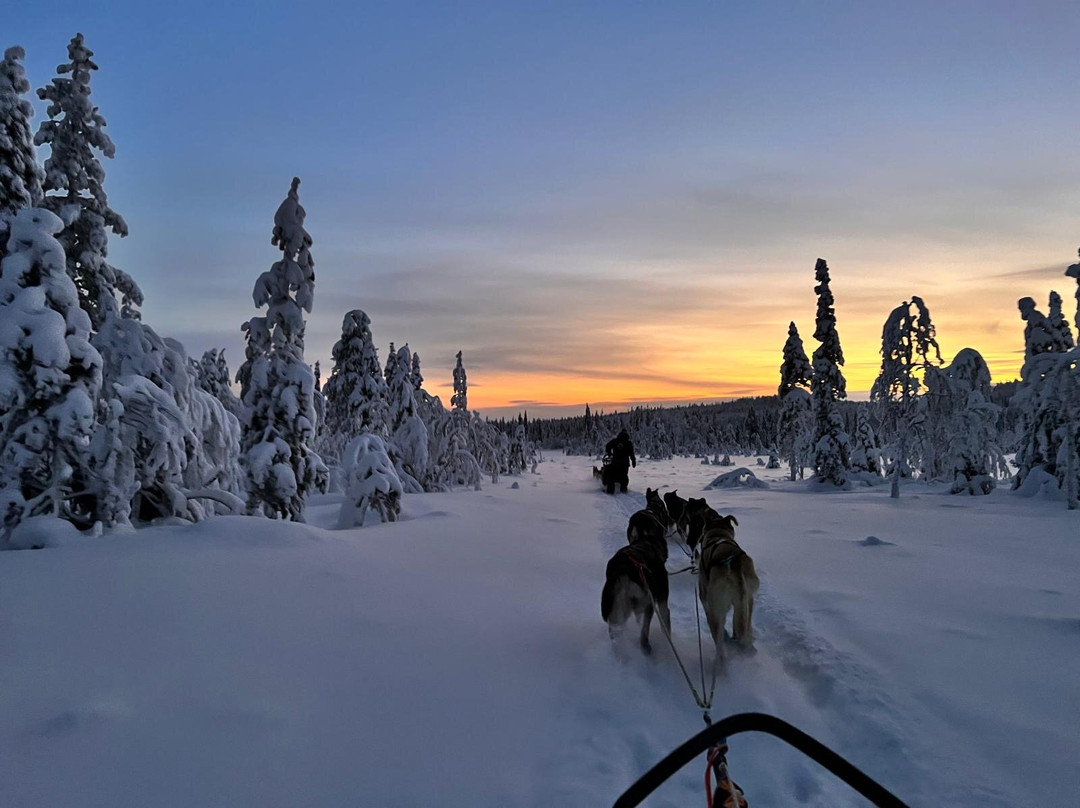 Powerun Adventures-Kolari必去景点