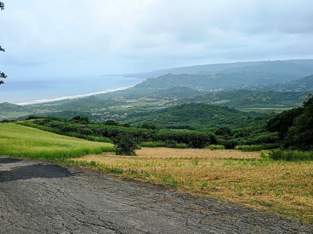 Ted's Tours-Hastings必去景点