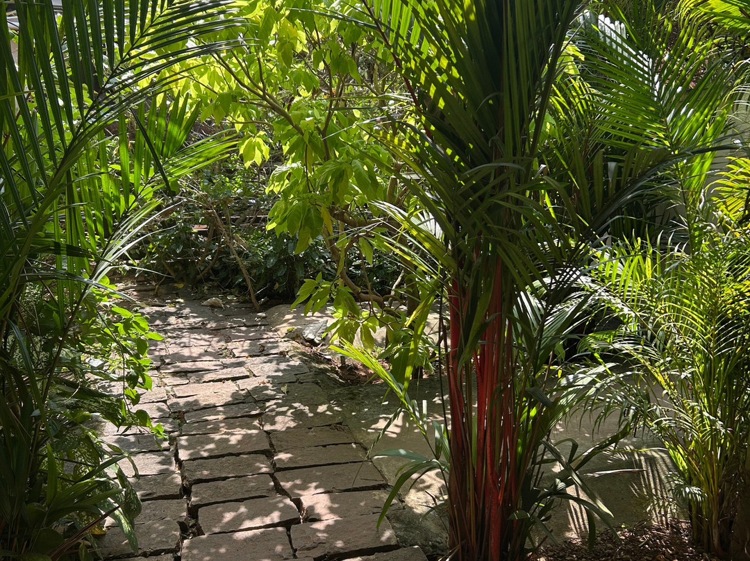 Ayushi Ayurvedic Retreat-瓦卡拉必去景点