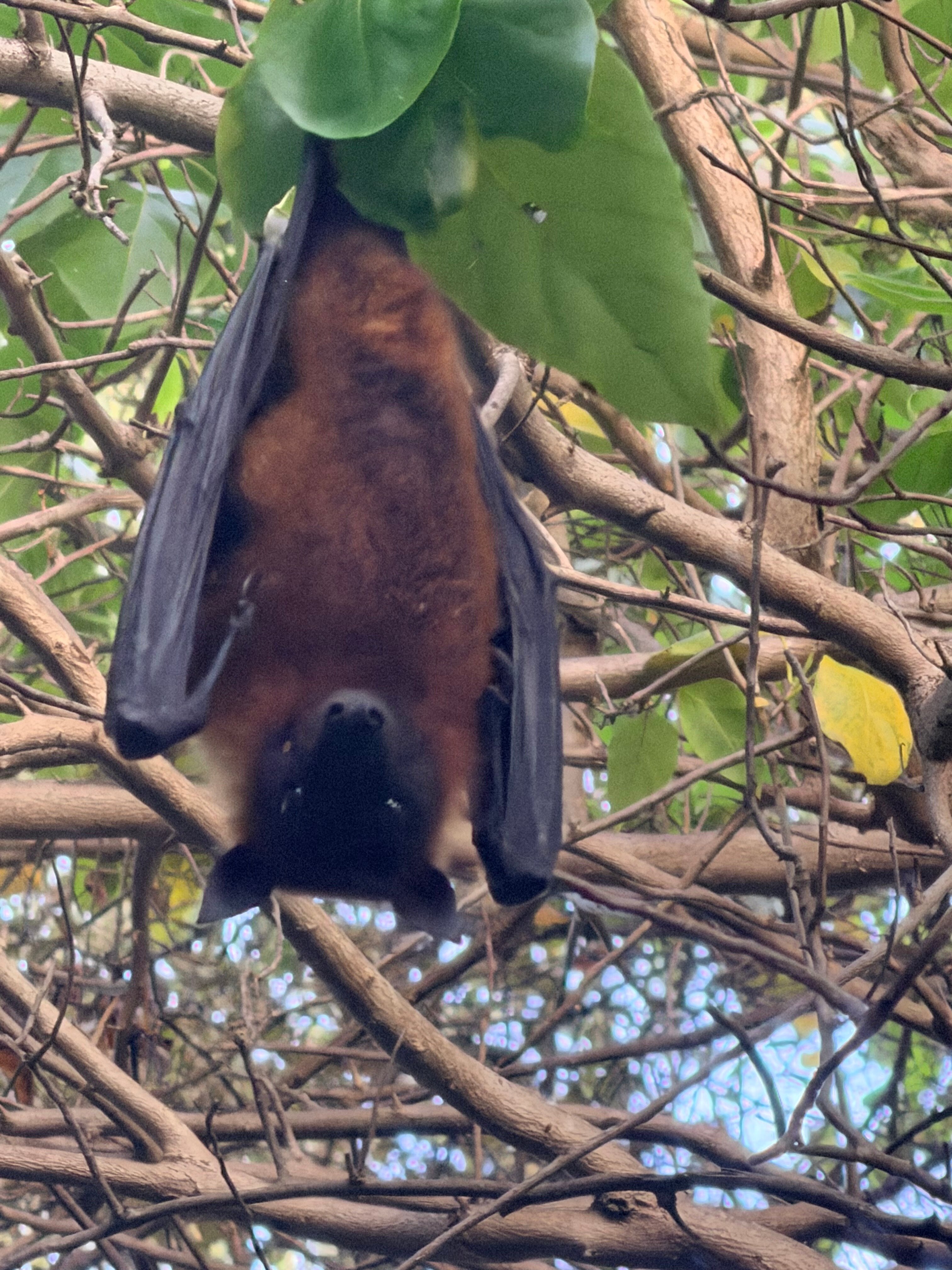 太阳岛度假村-官方