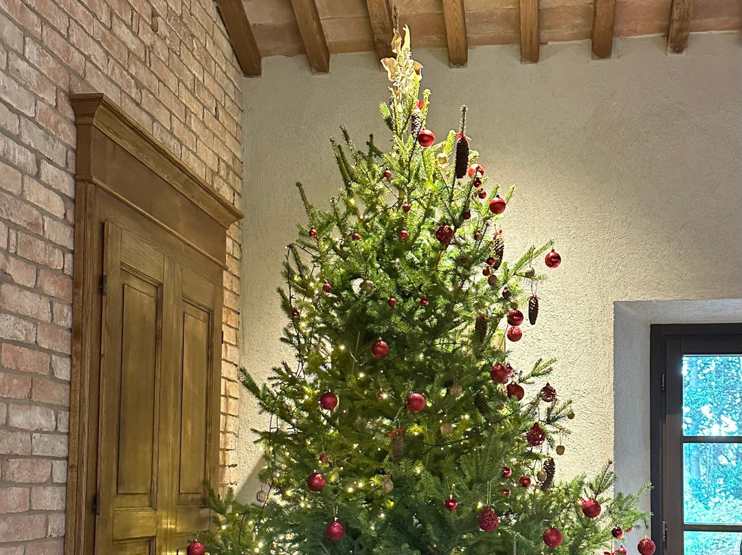 Villa Cosmiana Visit And Wine Tour-Peccioli必去景点