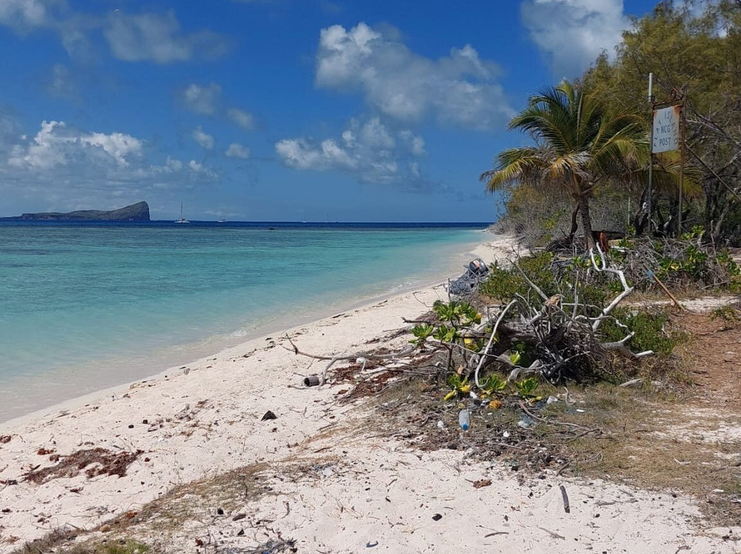 Trimaran Babacool-Pereybere必去景点