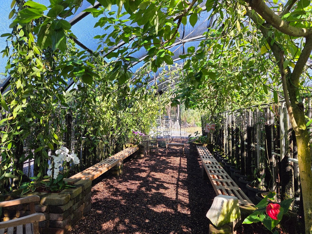 The Vanillerie-凯鲁瓦-柯纳必去景点